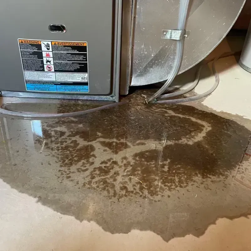 Appliance Leak Cleanup in Palatine, IL